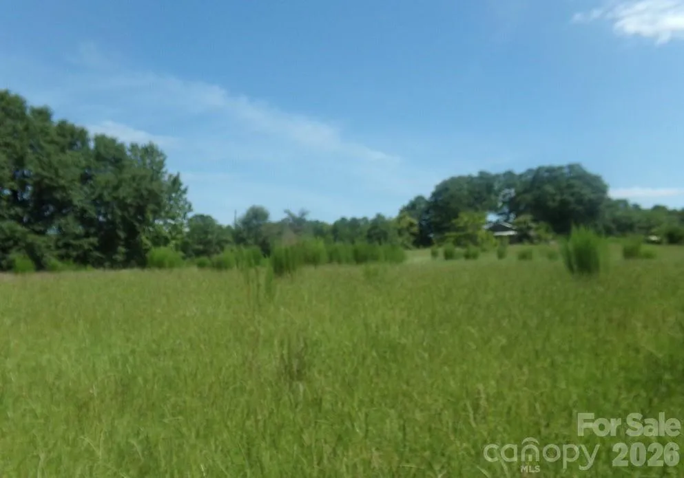 723 Lester Hicks Circle Pageland, SC 29728