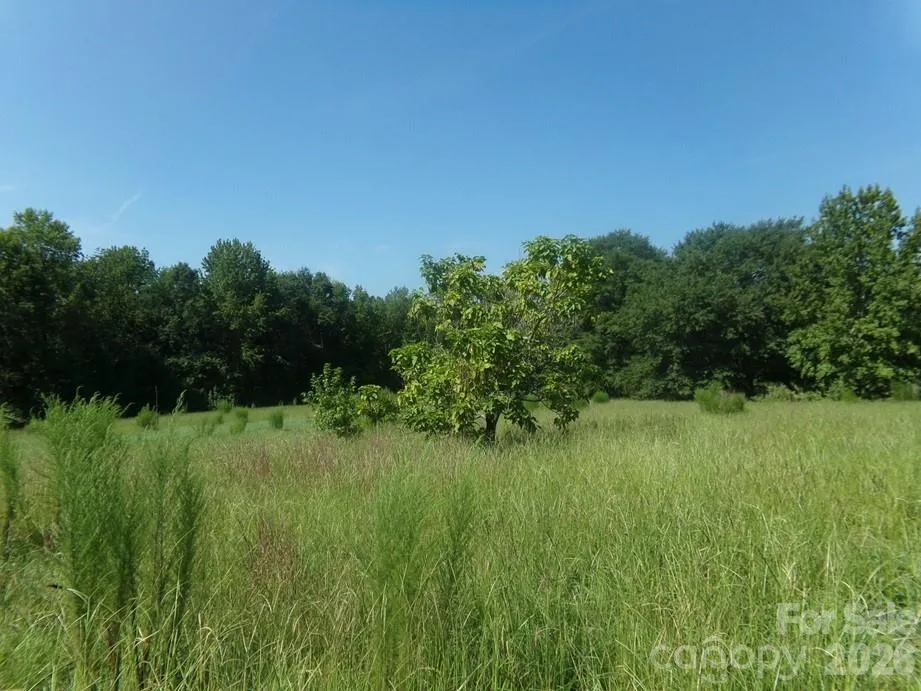 723 Lester Hicks Circle Pageland, SC 29728