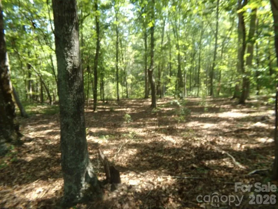 723 Lester Hicks Circle Pageland, SC 29728