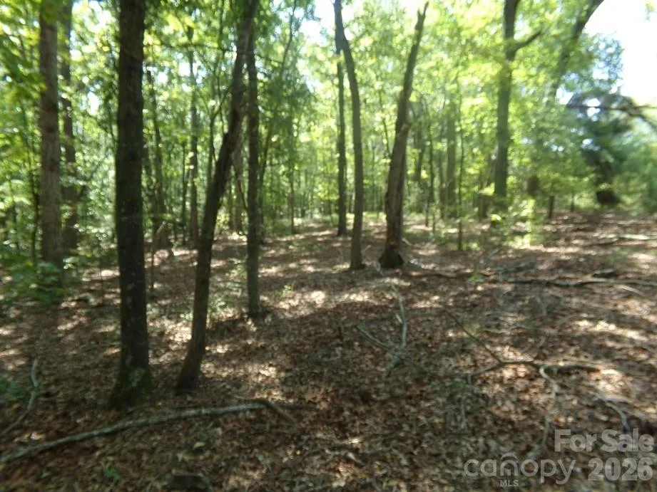 723 Lester Hicks Circle Pageland, SC 29728