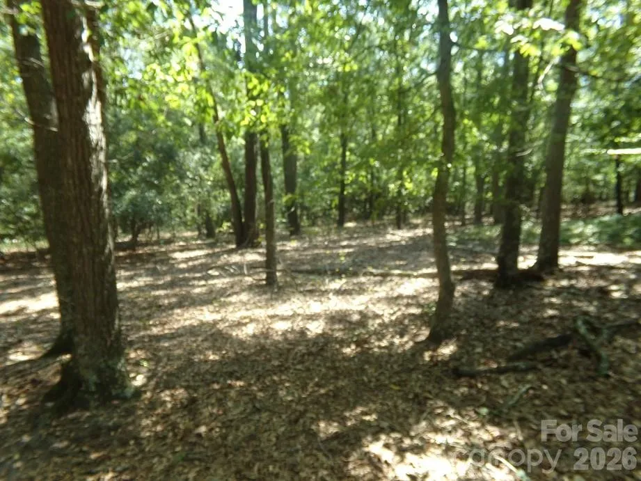 723 Lester Hicks Circle Pageland, SC 29728