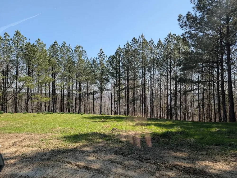 2241 Riverbend Rd Guild, TN 37340