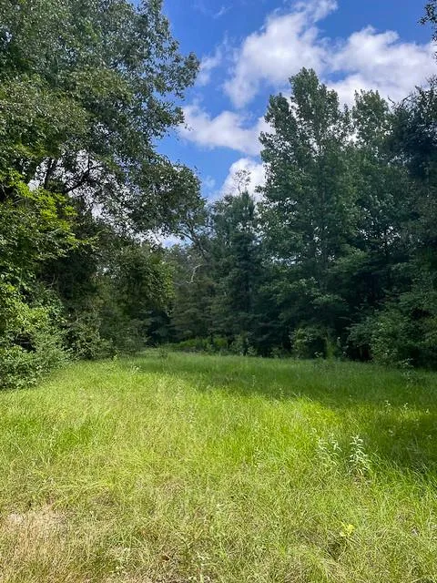 Jenkins Road North Oakhurst, TX 77359