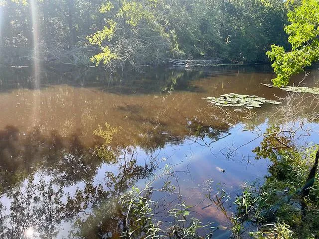 Jenkins Road North Oakhurst, TX 77359