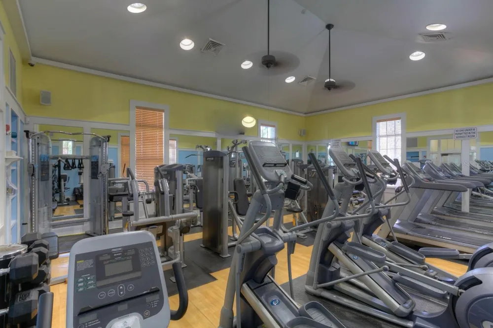 6105 GANNETSIDE PLACE Lithia, FL 33547