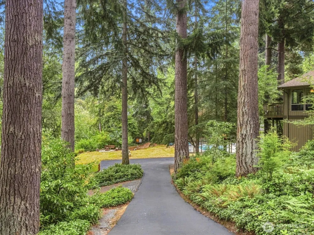 8511 Main Street #205 Edmonds, WA 98026