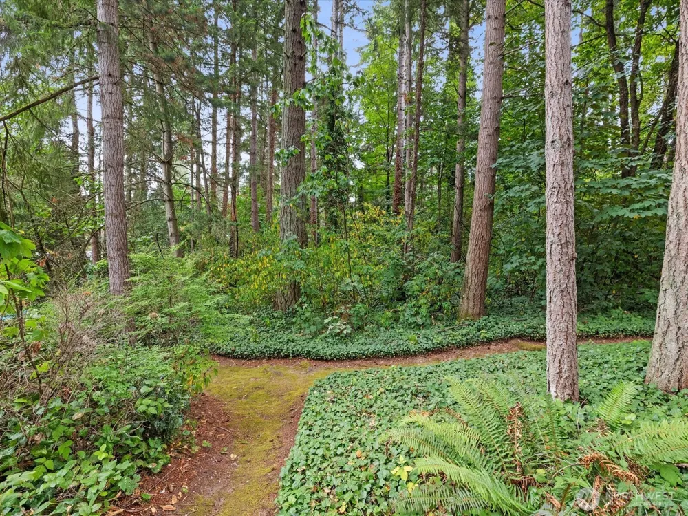 8511 Main Street #205 Edmonds, WA 98026