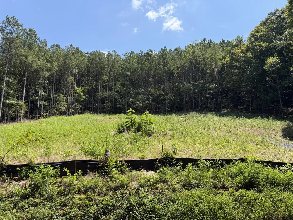SW Banther Road SW McDonald, TN 37353