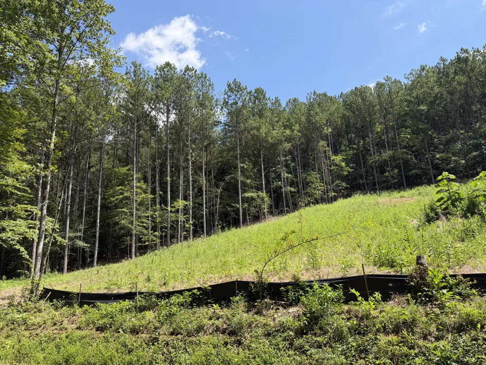 SW Banther Road SW McDonald, TN 37353