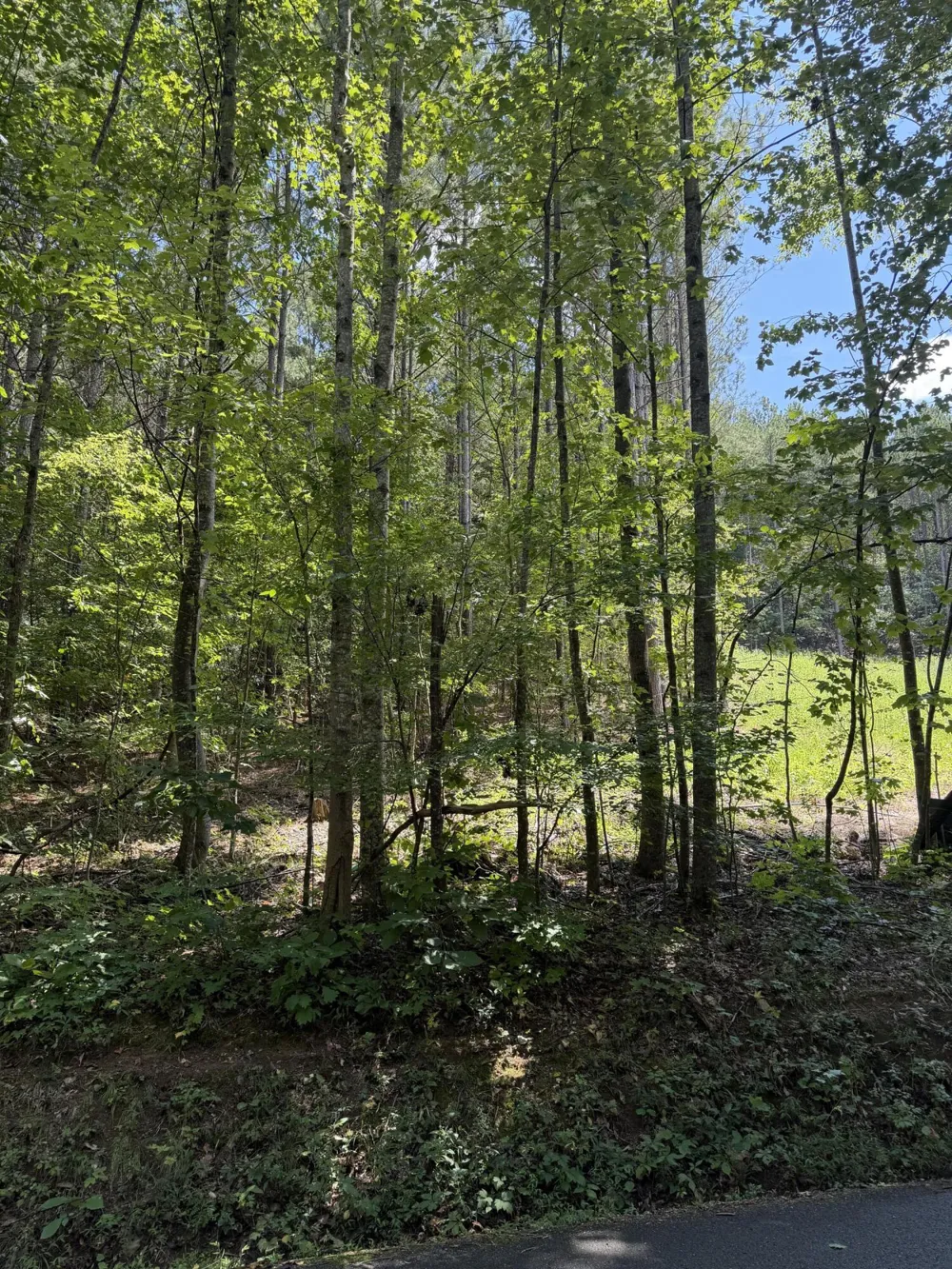 SW Banther Road SW McDonald, TN 37353