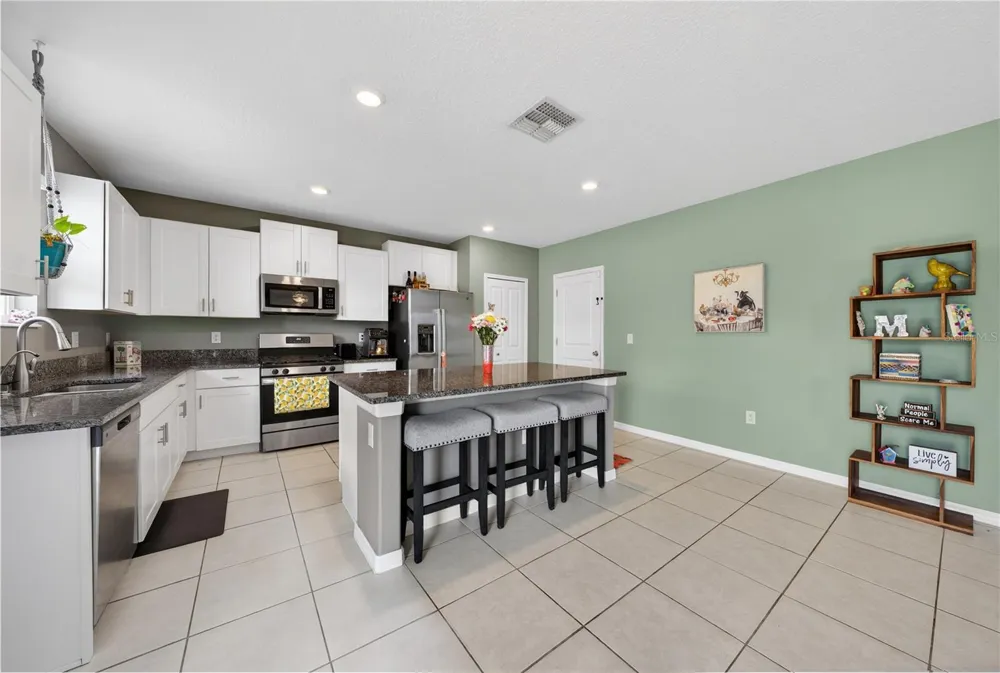 10291 SHADY PRESERVE DRIVE Riverview, FL 33578