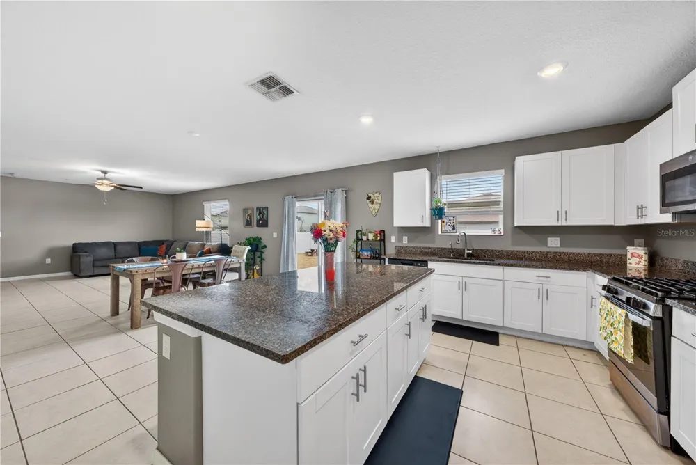 10291 SHADY PRESERVE DRIVE Riverview, FL 33578