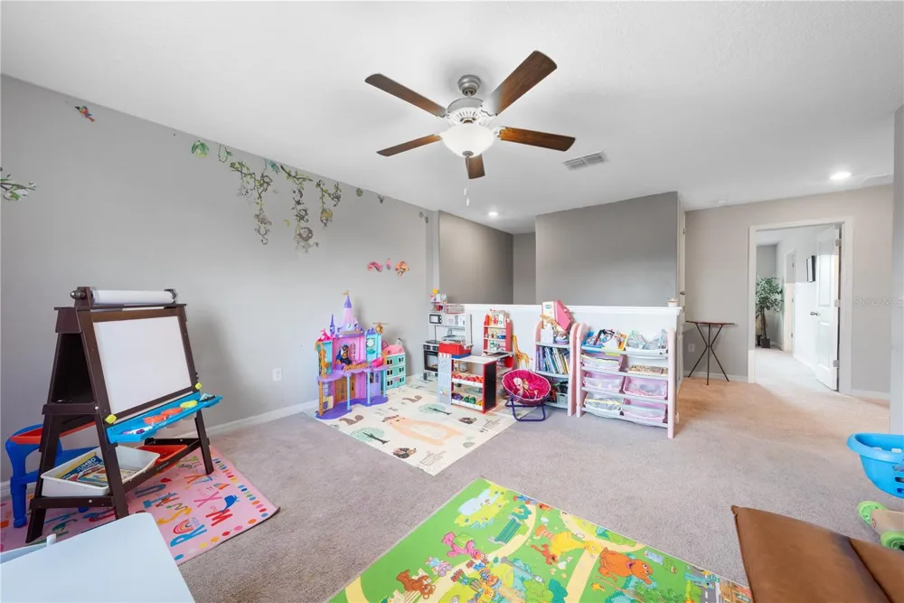 10291 SHADY PRESERVE DRIVE Riverview, FL 33578