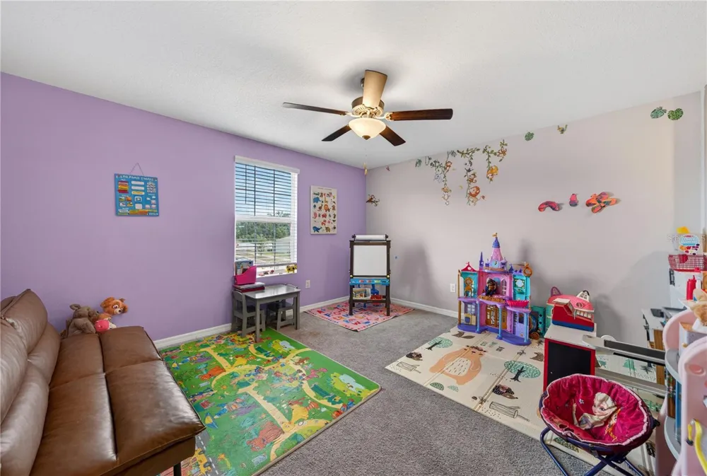 10291 SHADY PRESERVE DRIVE Riverview, FL 33578
