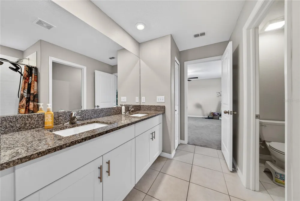 10291 SHADY PRESERVE DRIVE Riverview, FL 33578