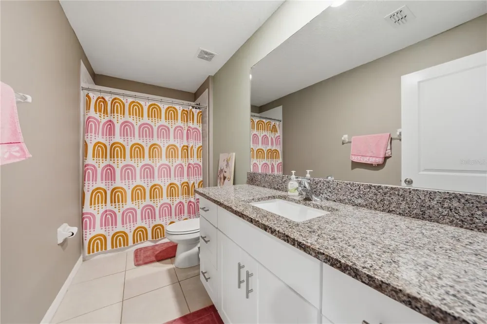 10291 SHADY PRESERVE DRIVE Riverview, FL 33578