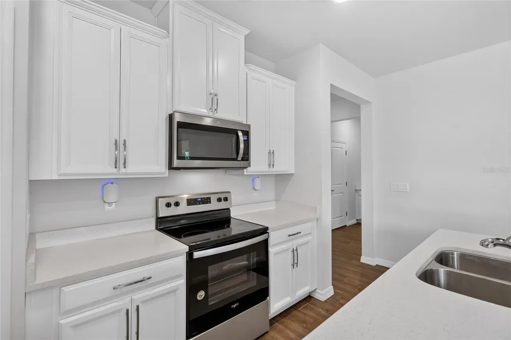 13520 PALMERA VISTA DRIVE Riverview, FL 33579