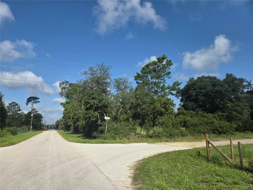 PINE STREET Paisley, FL 32767