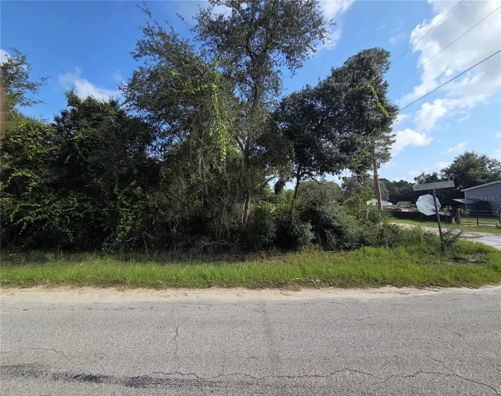PINE STREET Paisley, FL 32767