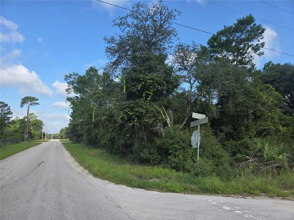 PINE STREET Paisley, FL 32767