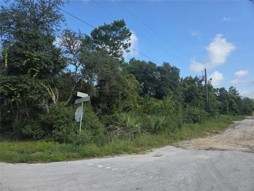 PINE STREET Paisley, FL 32767
