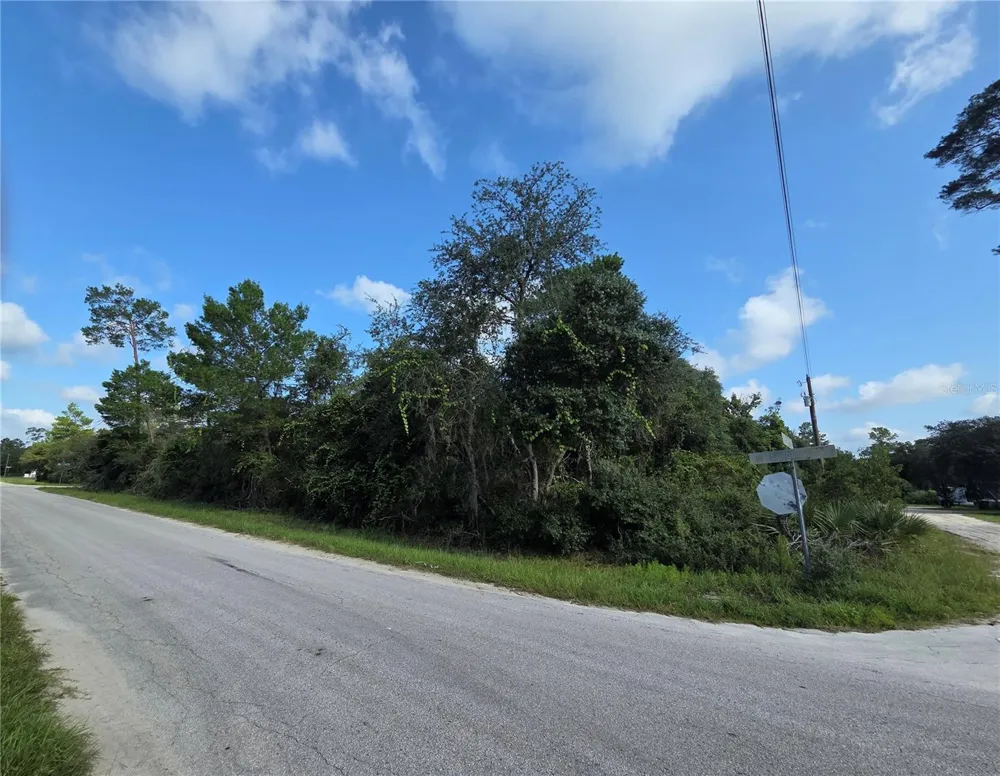 PINE STREET Paisley, FL 32767