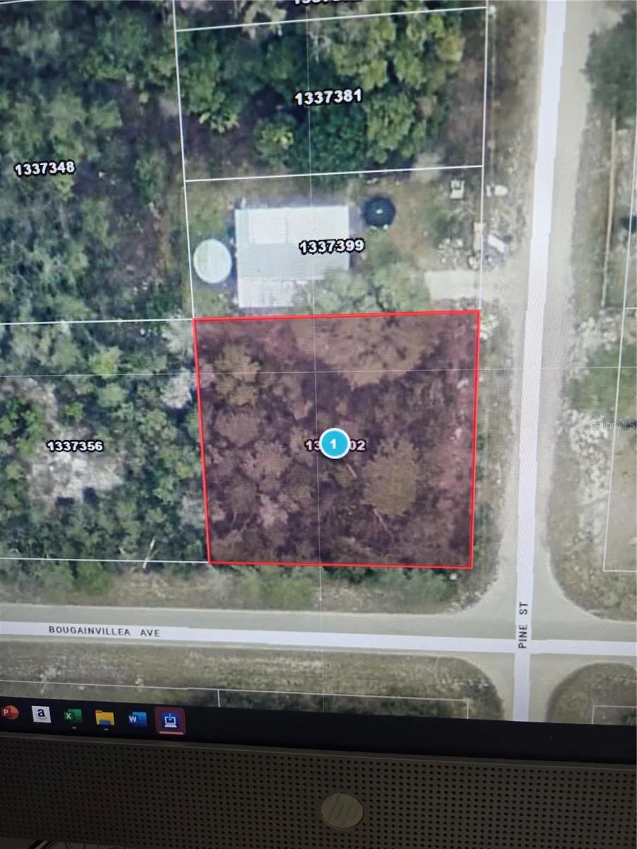 PINE STREET Paisley, FL 32767