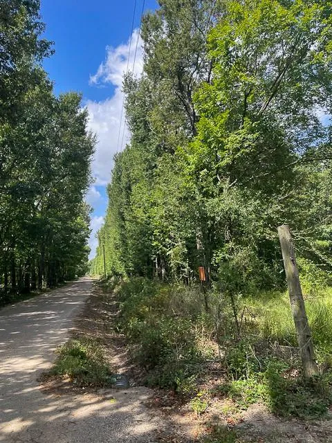 1 Jenkins Road North Oakhurst, TX 77359