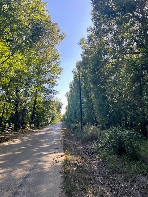 1 Jenkins Road North Oakhurst, TX 77359