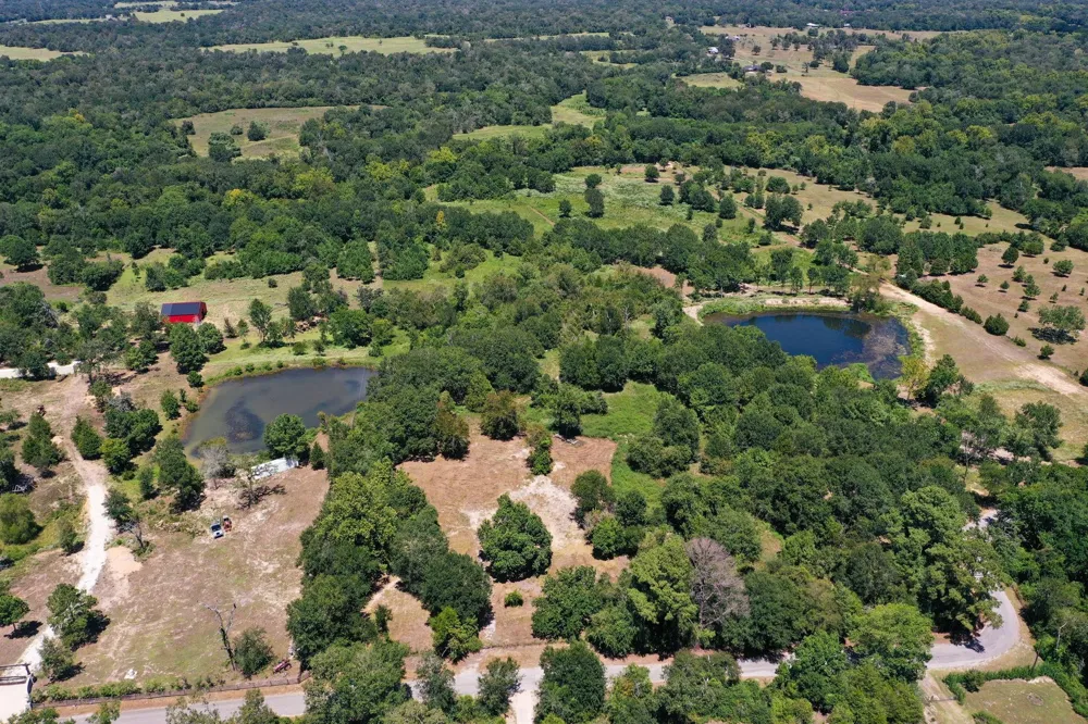 42219 Cedar Creek Road Hempstead, TX 77445