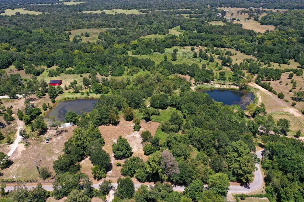 42219 Cedar Creek Road Hempstead, TX 77445