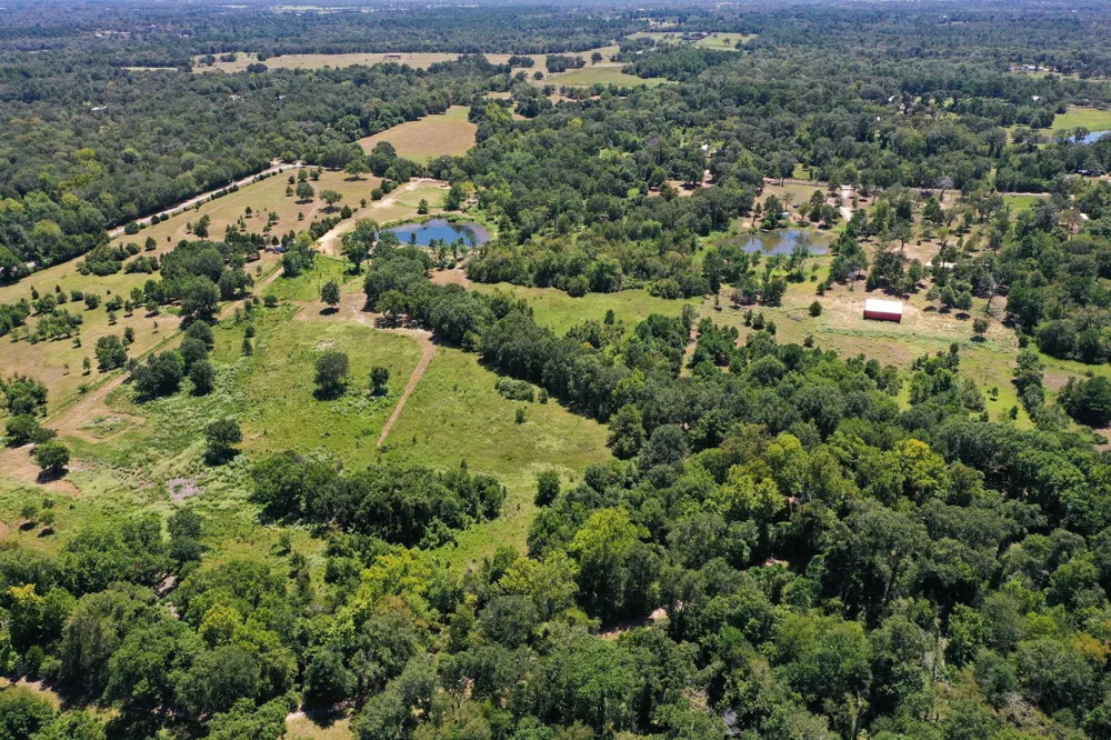42219 Cedar Creek Road Hempstead, TX 77445