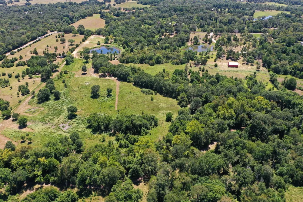 42219 Cedar Creek Road Hempstead, TX 77445