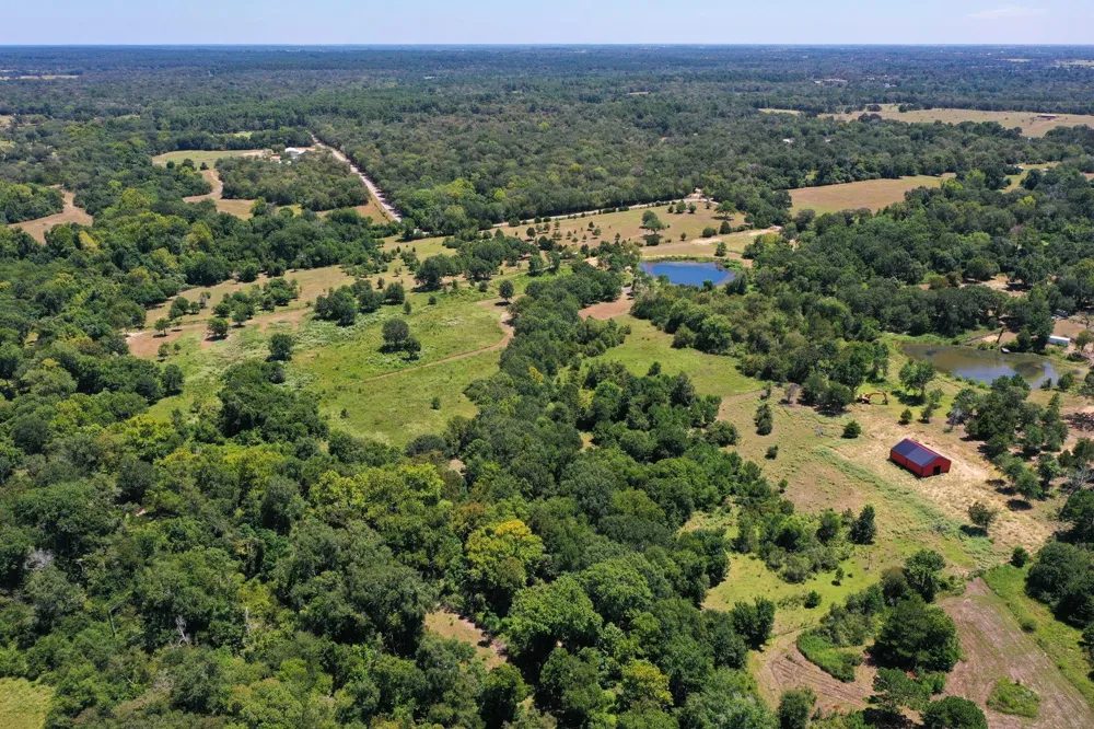 42219 Cedar Creek Road Hempstead, TX 77445