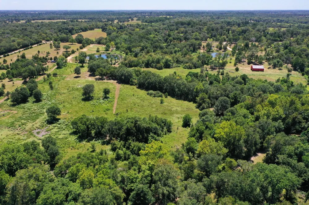 42219 Cedar Creek Road Hempstead, TX 77445