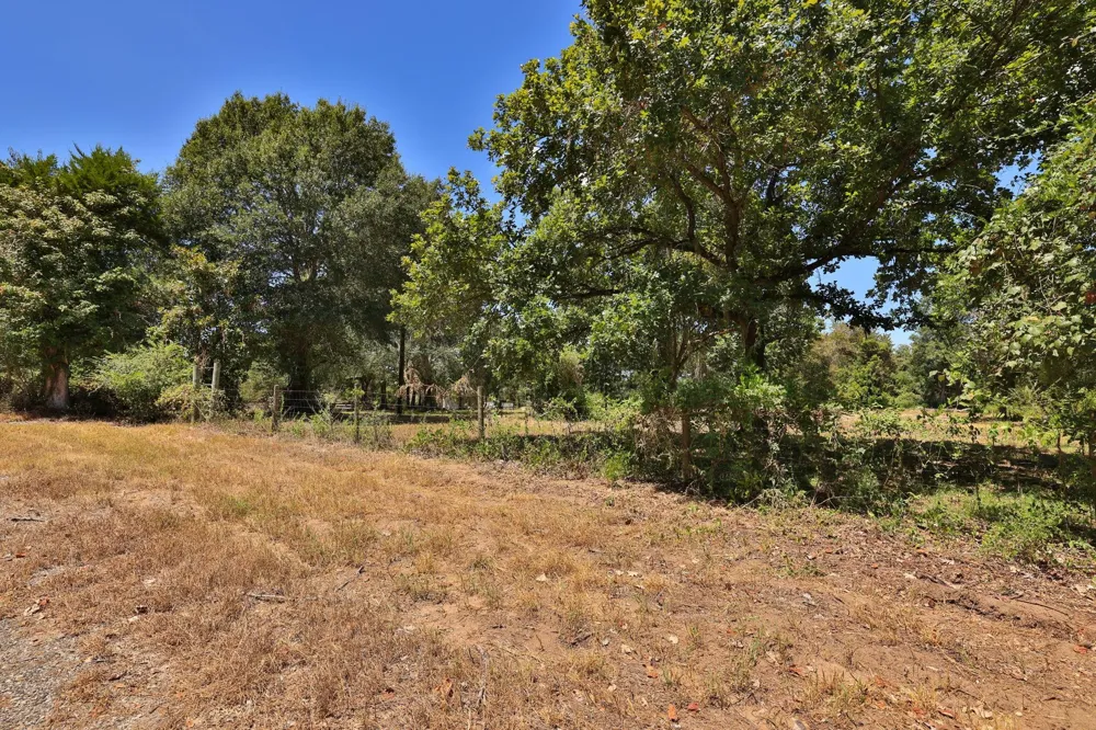 42219 Cedar Creek Road Hempstead, TX 77445