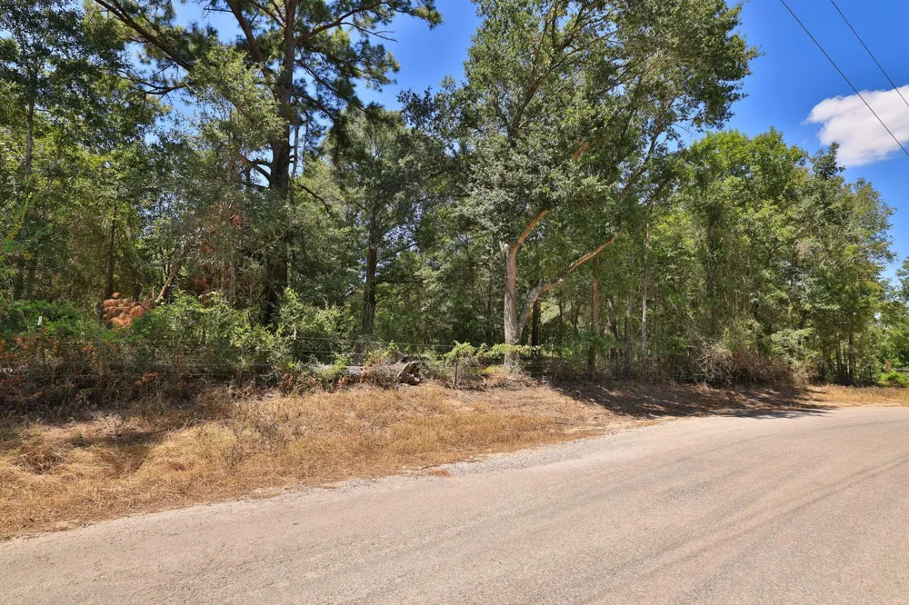 42219 Cedar Creek Road Hempstead, TX 77445