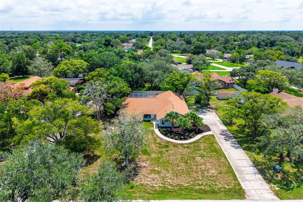 5380 PATRICIA PLACE Weeki Wachee, FL 34607