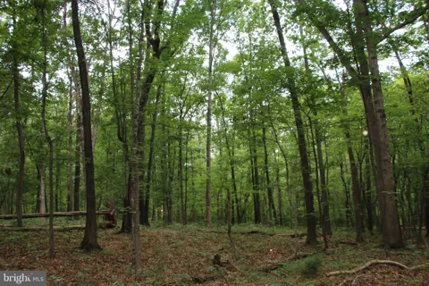 HABRON HOLLOW ROAD
