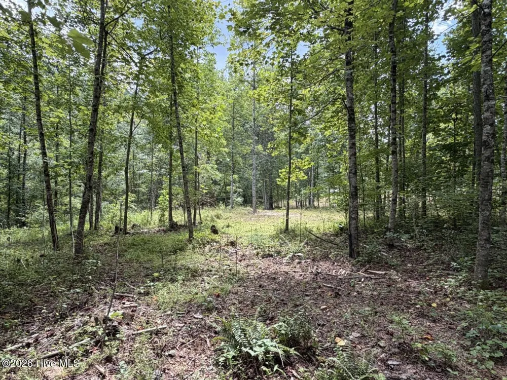 502 Landing Drive Murphy, NC 28906