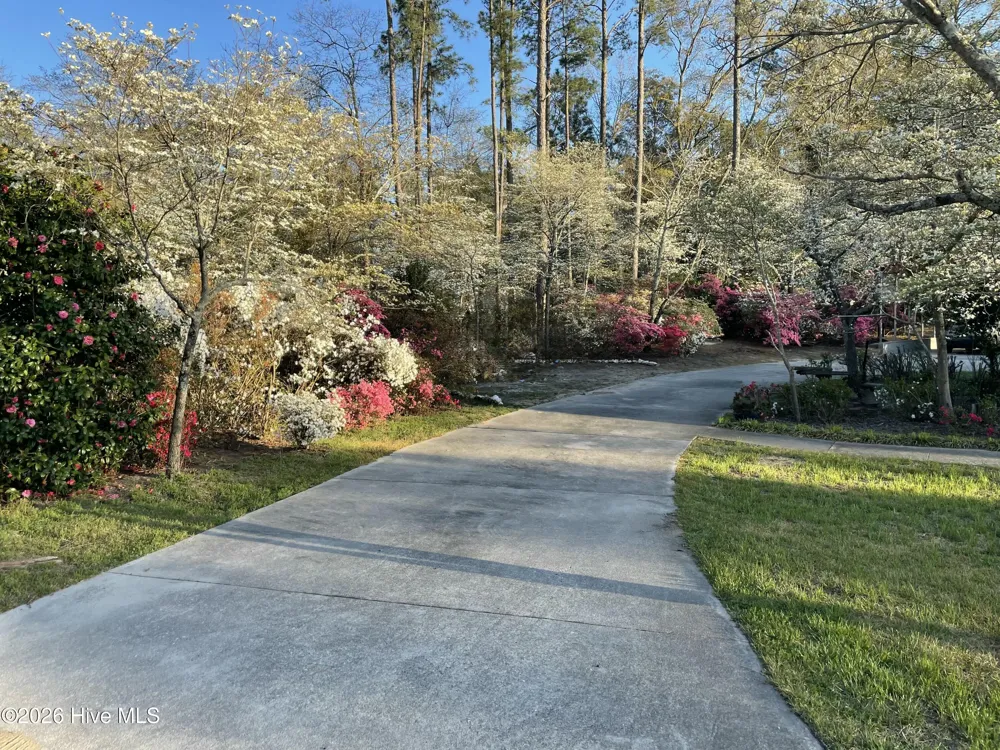 1105 Oak Avenue Hamlet, NC 28345