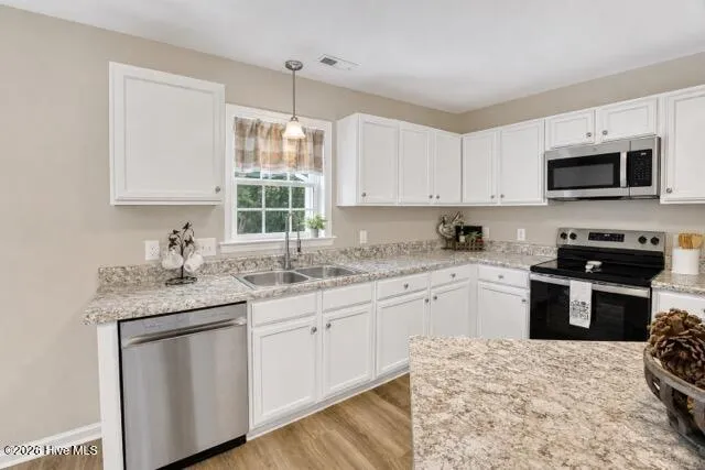 303 Big Tree Lane Chinquapin, NC 28521