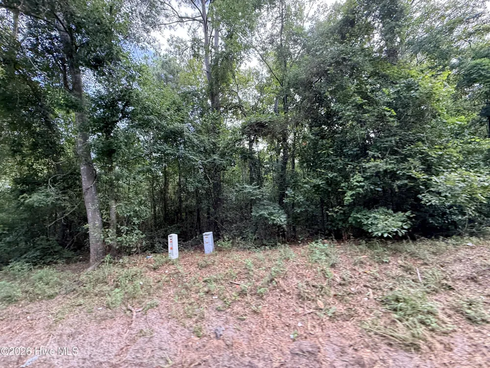 1428 Rainbow Falls Road North Augusta, SC 29860
