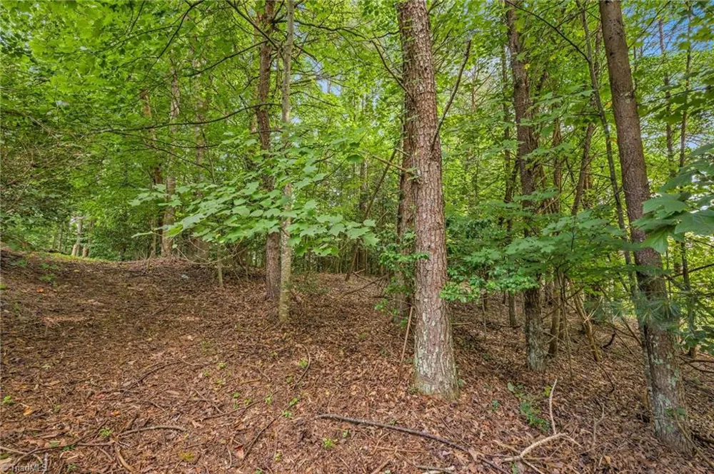 TBD Willowbrook Lane Wilkesboro, NC 28659