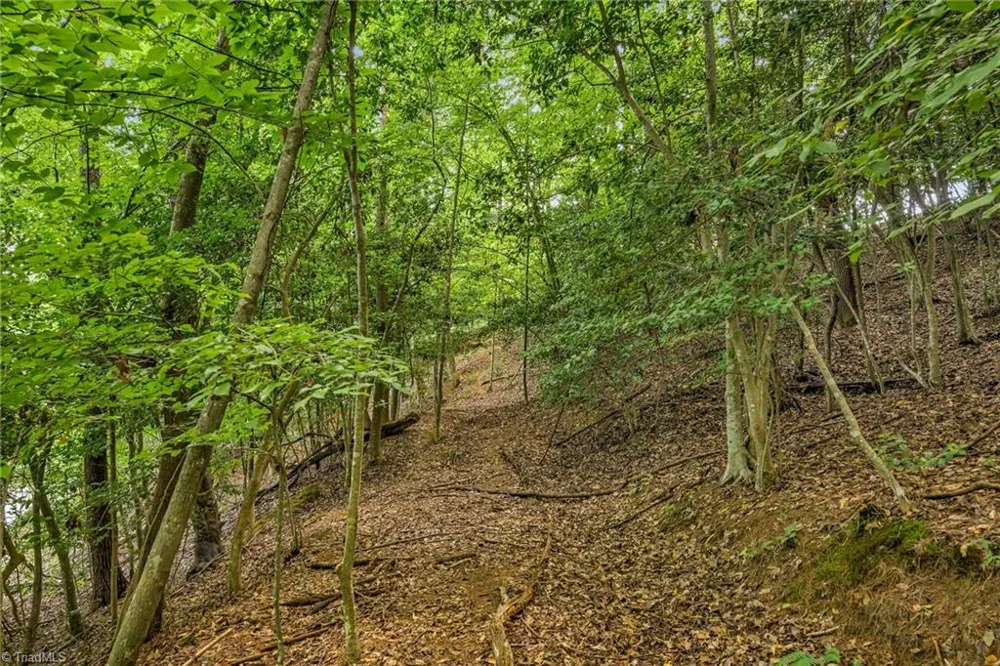 TBD Willowbrook Lane Wilkesboro, NC 28659