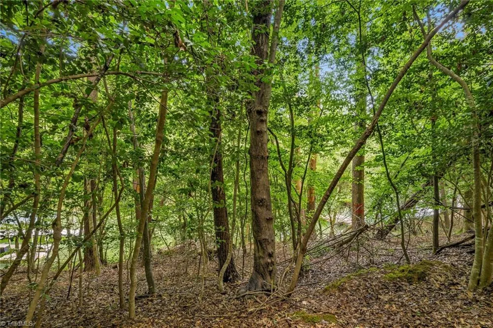 TBD Willowbrook Lane Wilkesboro, NC 28659