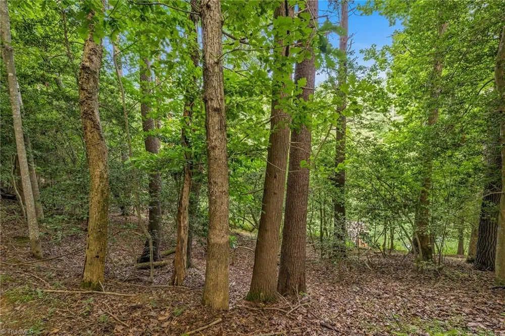 TBD Willowbrook Lane Wilkesboro, NC 28659