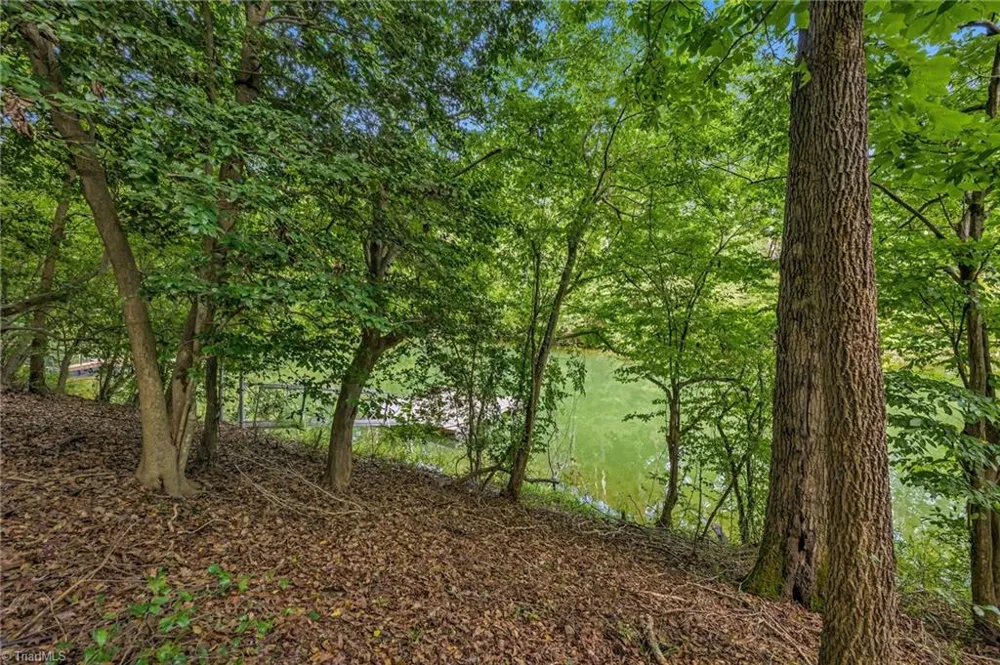 TBD Willowbrook Lane Wilkesboro, NC 28659