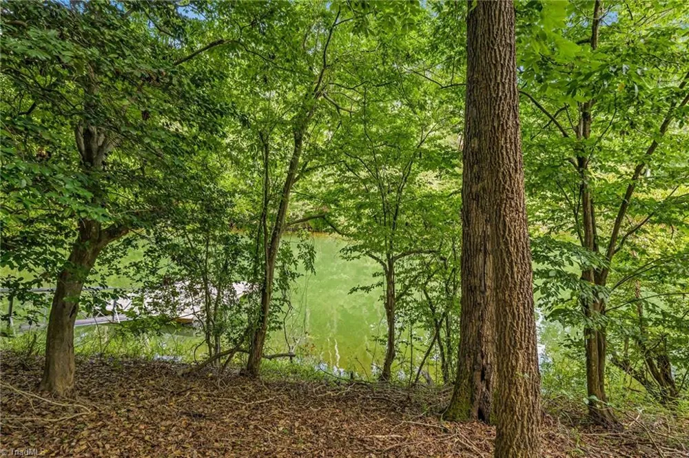 TBD Willowbrook Lane Wilkesboro, NC 28659
