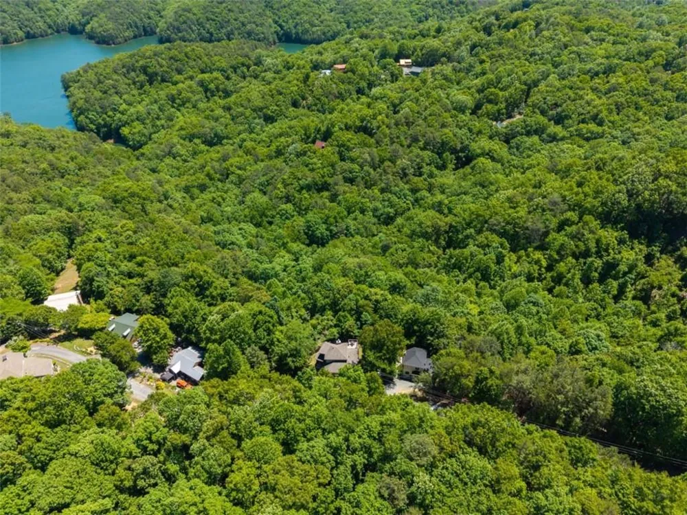 122 Zane Drive Ellijay, GA 30540